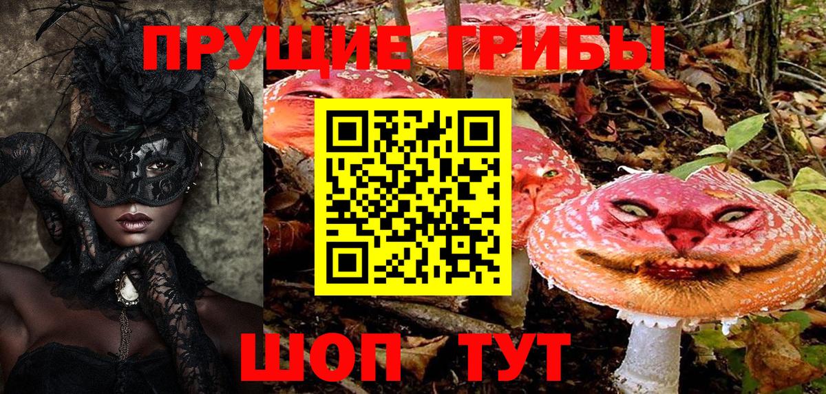 наркота  Вход с VPN  Карачаевск  Галлюциногенные грибы прущие грибы 